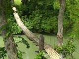 Hanging Bridge