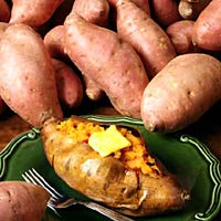 Sweet Potato