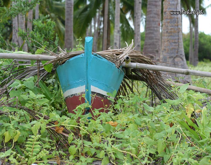 Outrigger Boat