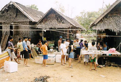 Fish Shop