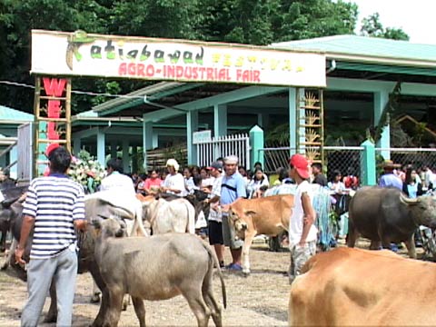 Katigbawan Festival