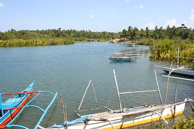 Cambuhat River