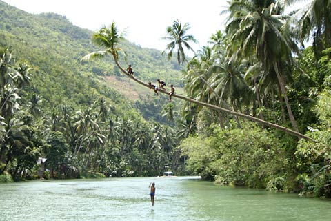 Children Jumping into Loboc River