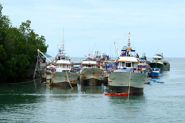 Fishing Boats