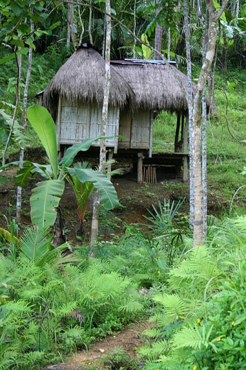 Nipa House