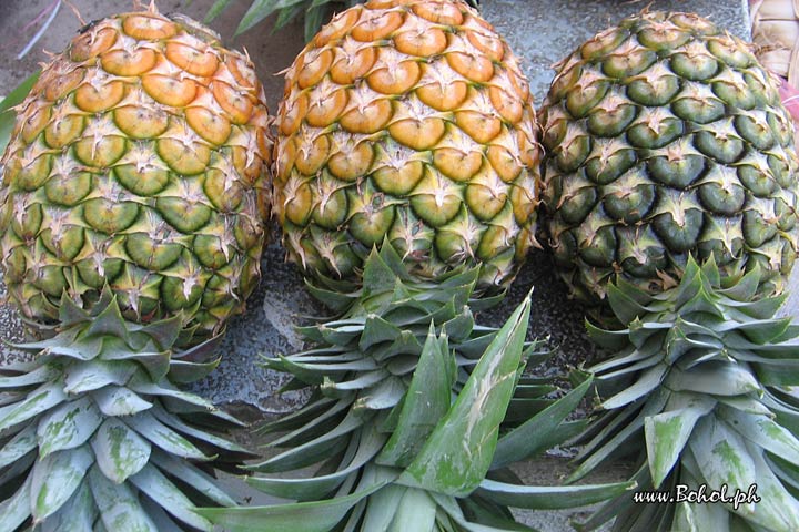 Pinya