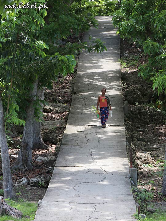 Main road, Pamilacan Island