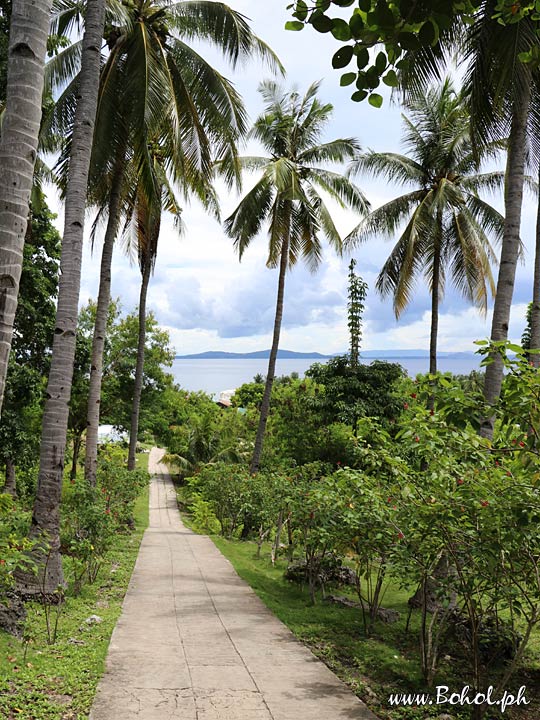 Main road, Pamilacan Island