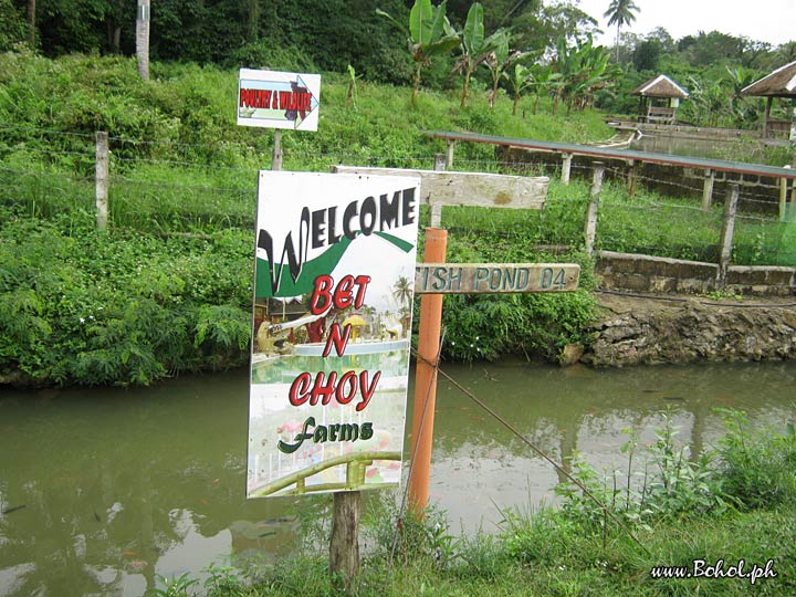 Bet 'n Choy Farm and Fishpond