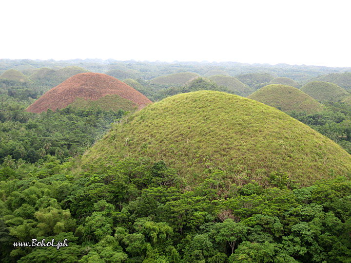 Chocolate Hills