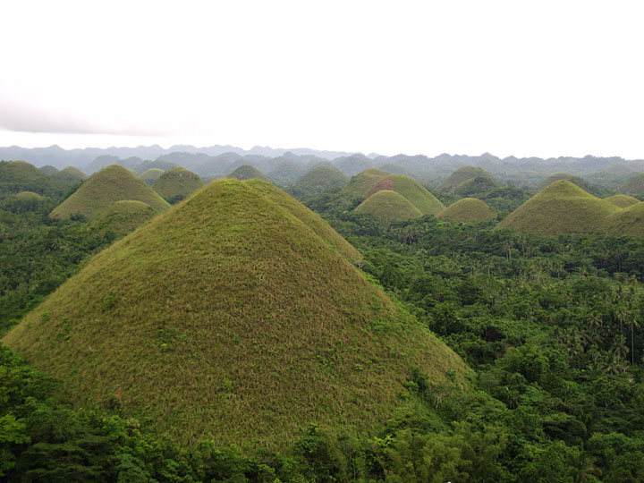 Chocolate Hills