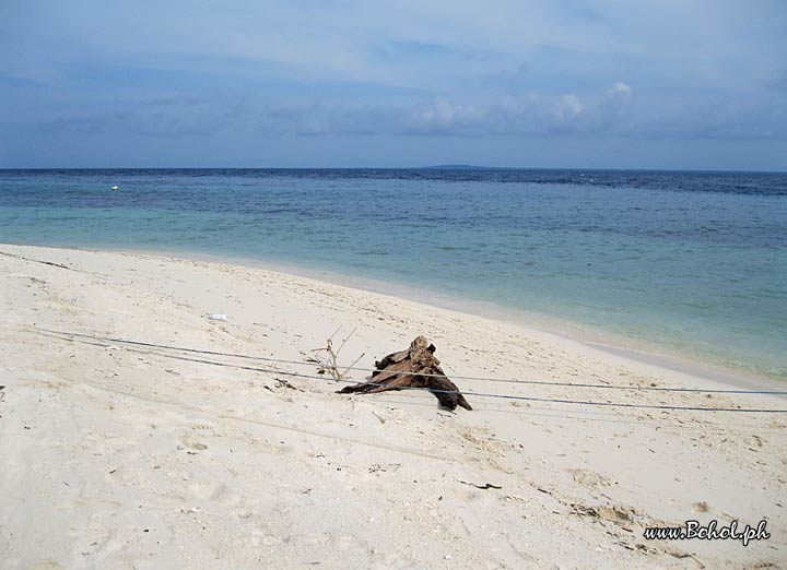 Pamilacan island