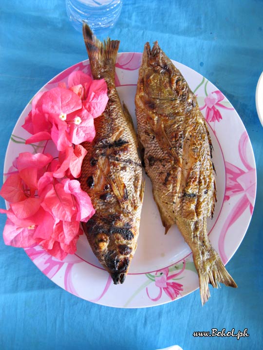 Sinugbang Isda