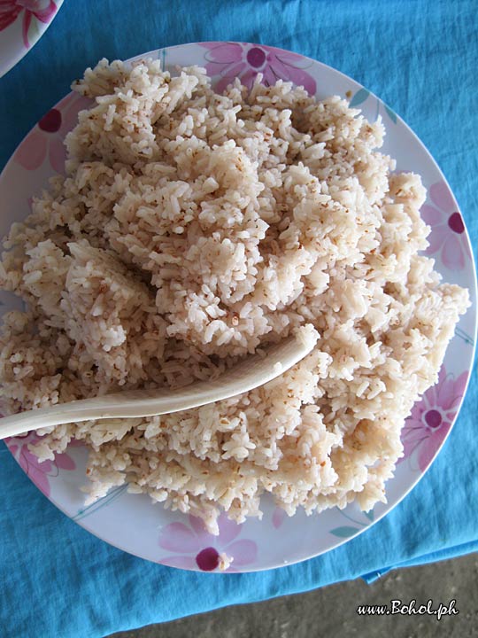 Rice