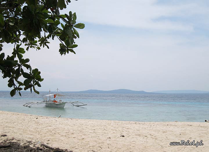 Pamilacan island