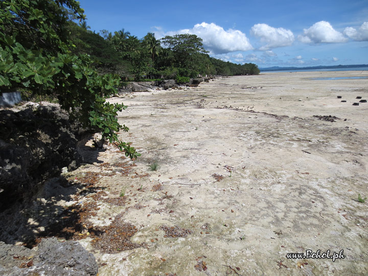 Punta Cruz