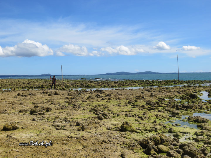 Punta Cruz