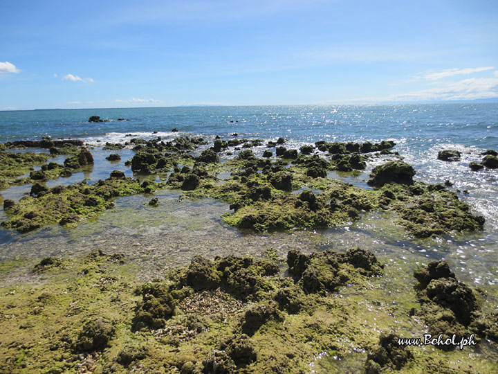 Punta Cruz