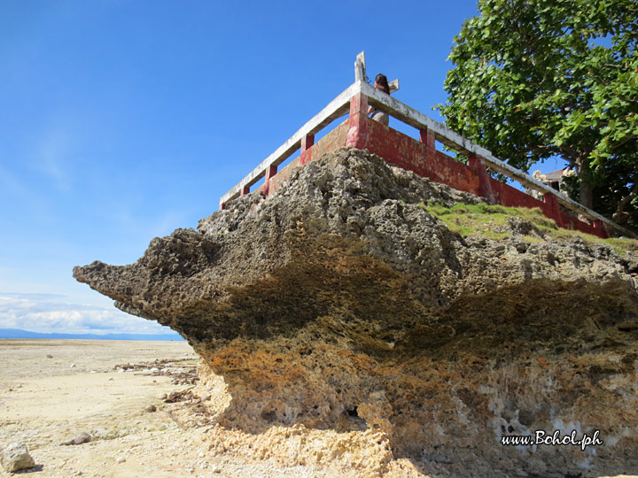 Punta Cruz