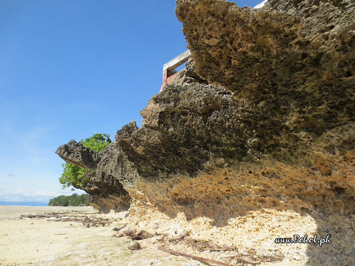 Punta Cruz