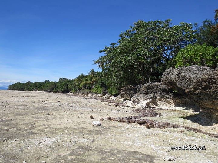 Punta Cruz