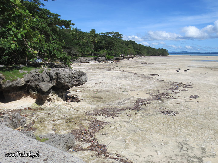 Punta Cruz