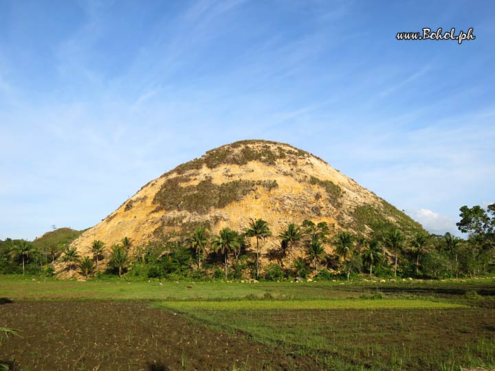 Chocolate Hills