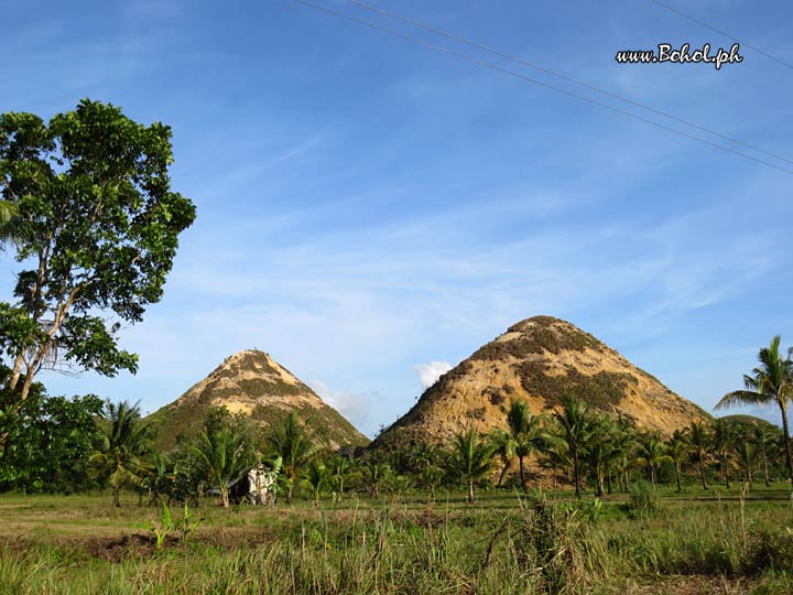 Chocolate Hills