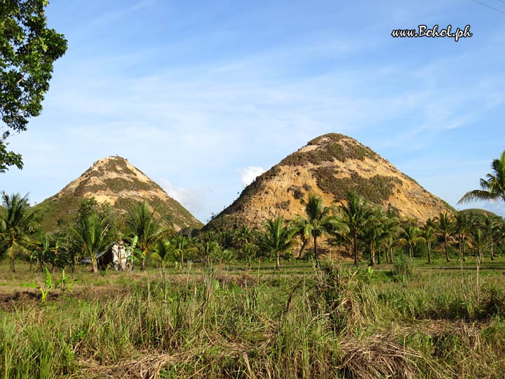 Chocolate Hills