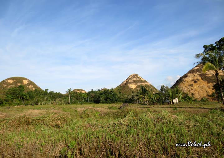 Chocolate Hills