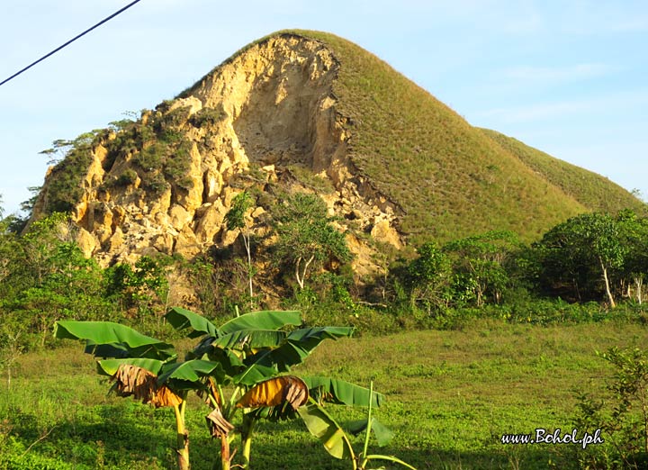 Chocolate Hills