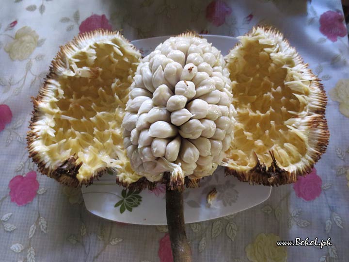 Marang