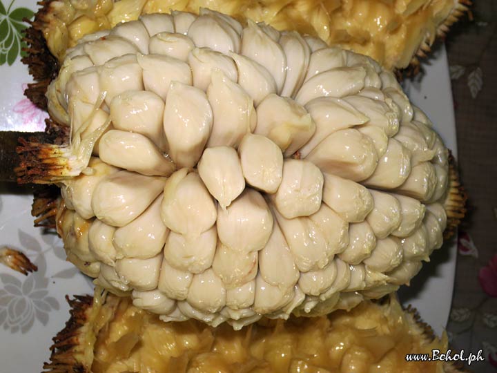 Marang