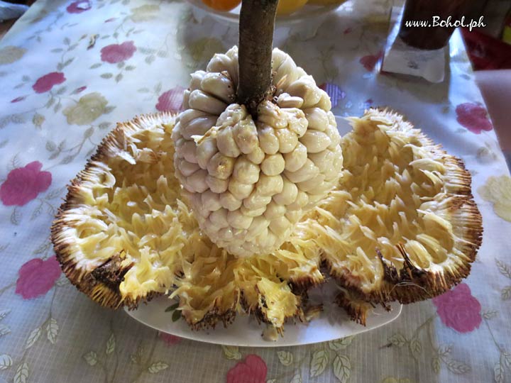 Marang