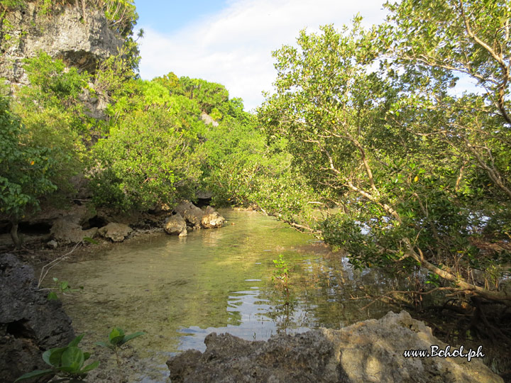 Lamanoc Island