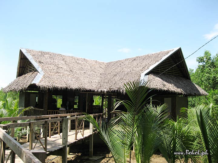 Loon Macaques Habitat