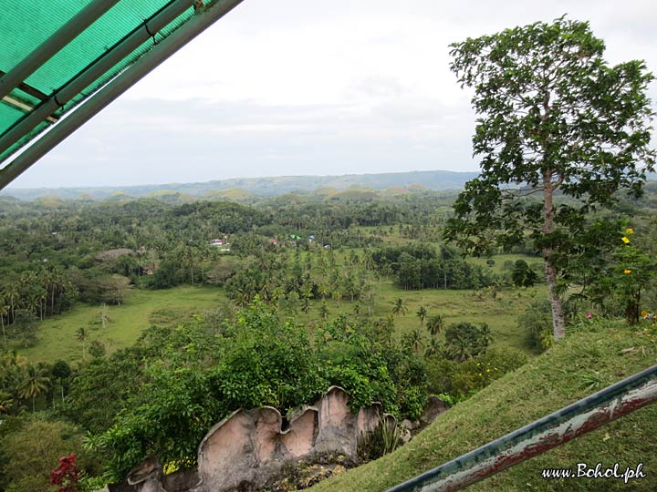 Chocolate Hills