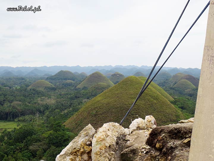 Chocolate Hills