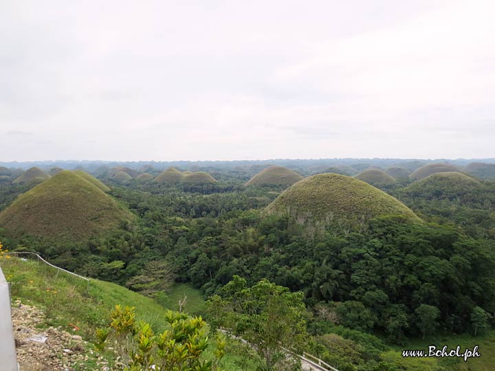 Chocolate Hills