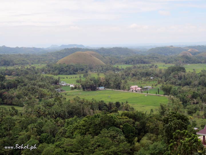 Chocolate Hills