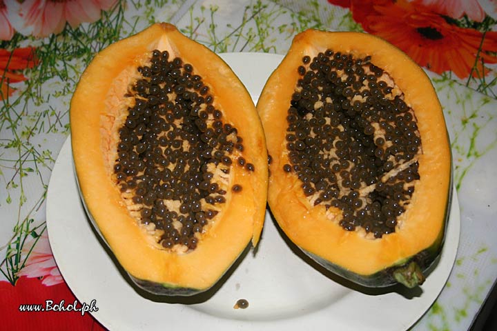 Papaya