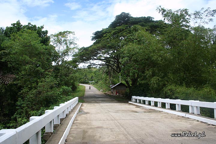 Bridge