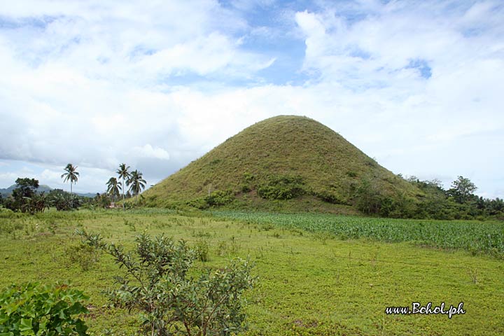 Chocolate Hills