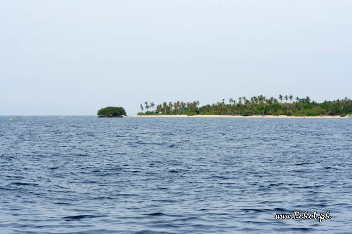 Pamilacan island