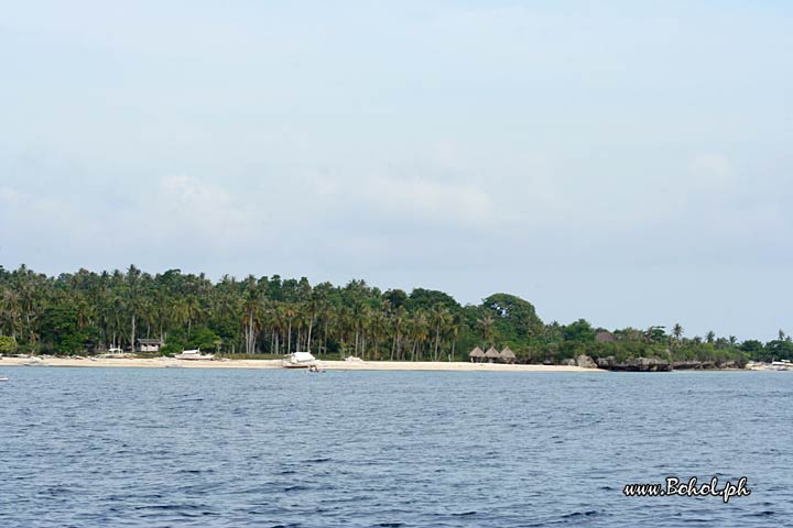 Pamilacan island