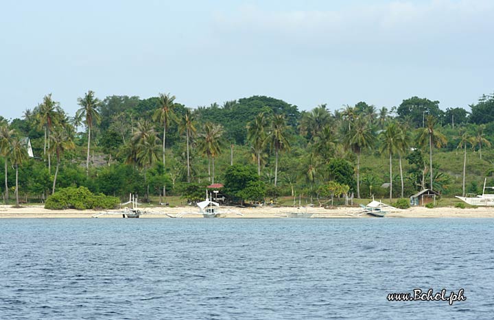 Pamilacan island