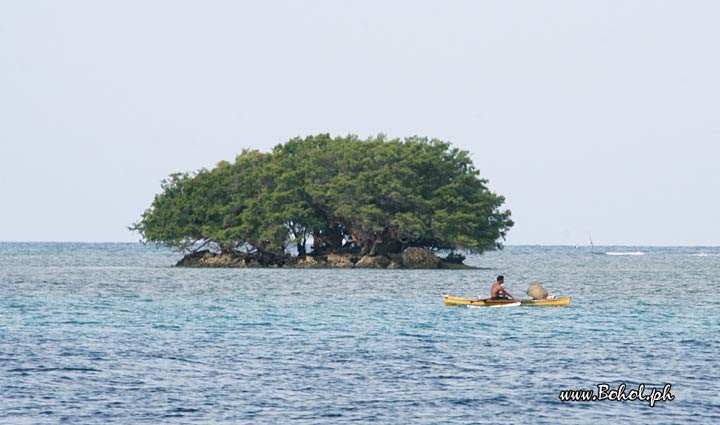 Pamilacan island