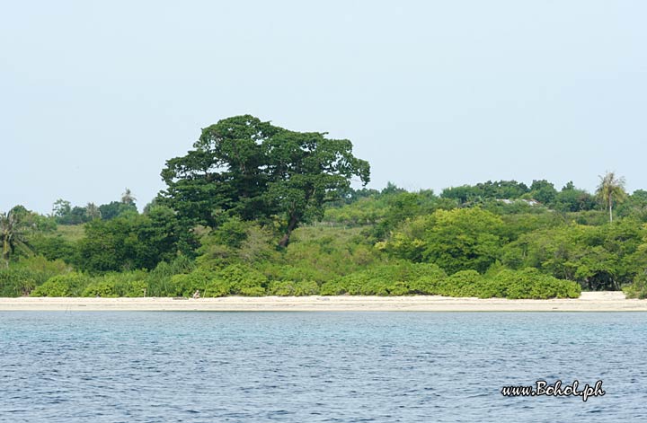 Pamilacan island