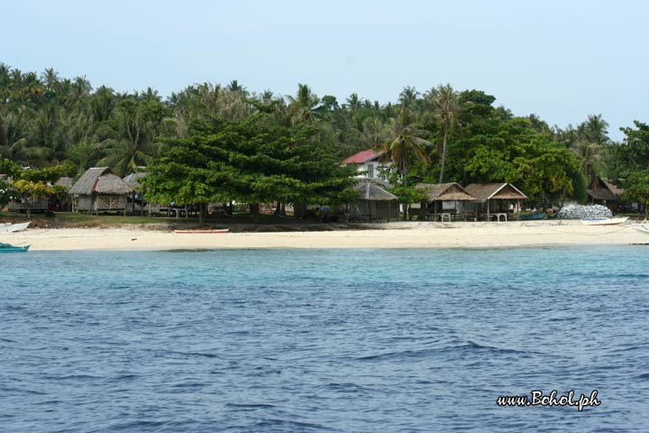 Pamilacan island