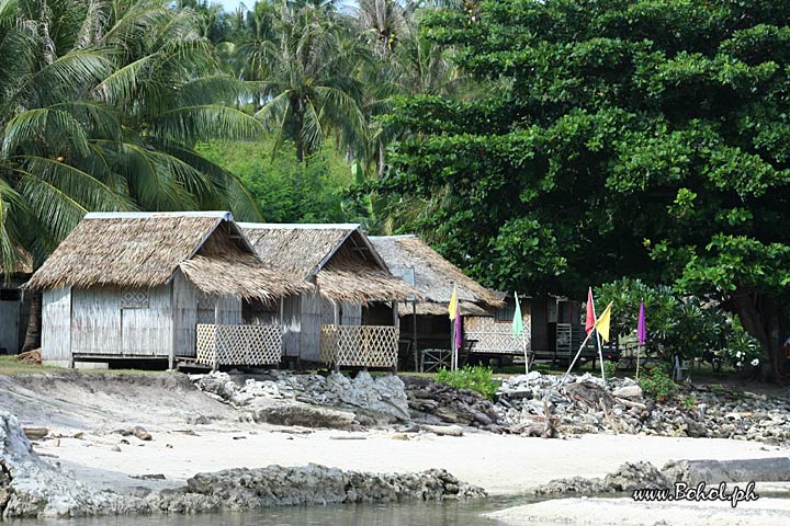 Native Cottages